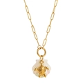 Collar de cadena de clip dorado con colgante de concha iridiscente y tortuga marina tallada - Tortuga marina
