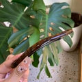 Pinza para el pelo vintage con diseño de carey y acabado brillante para peinados - Pasador Carey