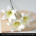 3-Head Film Lily Spotted White