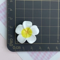 Macro-opname van een 3cm kunststof frangipani bloem op een zwarte snijmatras - Groot