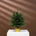 Miniature green Christmas tree on a golden rotating musical base with Merry Christmas text - 45CM Original Green Gold Base (No Light)
