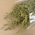 Preserved yellow Statice dried flowers in clear plastic packaging for DIY projects - Yellow (120g)