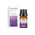 Lavender aromatherapy oil set with 10ml amber glass dropper bottle and packaging box - Lavender
