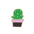Pink Black Pot Cactus (C1119-3)