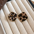 Makroansicht von quadratischen Leopard-Ohrsteckern mit Goldrahmen auf Samt-Etui - 7# Silberstift - Braun - Eckig