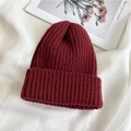 Winter rib-knit dark burgundy beanie with wide folded cuff for women and students - One Size (Stretchy) / Burgundy