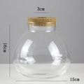 Clear spherical glass hydroponic vase with a round cork lid, 16cm height and 15cm width - Large Dense Ball (15*16cm)