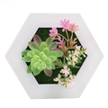 Hexagonal white wood frame with artificial succulents and pink flowers on green moss - Style 12E