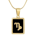 Gold stainless steel Capricorn necklace featuring a square black shell inlay pendant - Capricorn / Black