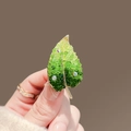 Elegant gold leaf brooch with green gradient crystals and rhinestones held by hand - 417# Green Leaf