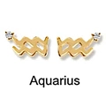 Minimalist Aquarius zodiac stud earrings in gold finish with sparkling cubic zirconia - Aquarius