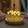 Single Glass Dome (No Flowers No Base) 9 Yellow Tulips