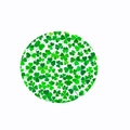 Detalle del diseño de tréboles verdes en posavasos redondos para San Patricio - Trébol de San Patricio