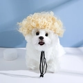 Light blonde curly wig for small dogs and cats with an adjustable elastic strap - Golden Small Waves