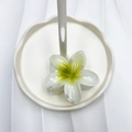 Elegante pinza per capelli a forma di plumeria bianca e gialla con sfumature - 8cm / Verde matcha
