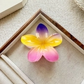 Rainbow gradient frangipani hair claw clip in purple, yellow and pink floral design - Purple Yellow Pink Gradient