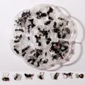 Kit de dijes de resina aurora para uñas con osos negros y lazos en estuche - MH-06 Lentejuelas Degradadas