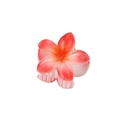 Pink gradient frangipani hair claw clip with semi-transparent resin petal design - Gradient Red - 4cm