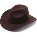Classic dark brown wide brim wool felt jazz fedora hat with top indentation style - Plain Style / Coffee