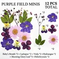 Dettaglio macro del kit di fiori secchi viola con ortensie e speronella per fai-da-te - Mini Pacchetto di Fiori Viola