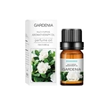 Gardenia scented water soluble aromatherapy oil 10ml bottle with matching packaging box - Gardenia