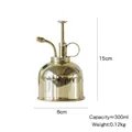 Dettaglio del flacone spray in acciaio inox dorato 304 con dimensioni di 300ml per piante - Flacone Spray 300ml / Oro