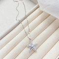 Collier étoile argenté élégant avec cristaux micro-pave sur une boîte à bijoux beige - Étoile à cinq branches-Argent