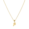 Golden stainless steel Scorpio zodiac pendant necklace with fine link chain design - Scorpio / Pendant Only