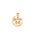 Gold stainless steel crescent moon and star charm pendant with polished finish - Star Moon / Gold
