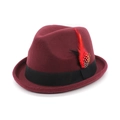 Detail view of burgundy fedora hat featuring a black ribbon and vibrant decorative feather - M / Burgundy