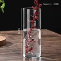 Cylindrical 550ml hydroponic glass vase for plants, 18cm height and 6.5cm diameter - D6.5cm*H18cm (550ML)