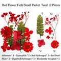 Dettaglio del set di 12 fiori secchi rossi per creazioni fai da te in resina - Mini Pacchetto di Fiori Rossi Stile B