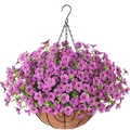 Detail of hanging basket with purple artificial flowers and coconut liner on metal chain - Purple Pink
