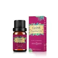 Pure clove essential oil 10ml bottle with organic plant-style packaging box - Clove Oil