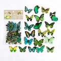 Set di 40 adesivi a farfalla verde serie natura per decorazione scrapbook vintage - Farfalla Verde