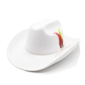 White felt wide brim cowboy hat with colorful feather detail and woven rope trim - M (56-59cm) / White
