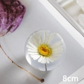 8cm round crystal ball with white dandelion flower and natural resin finish - Oxeye Daisy Ball 8cm (Gift Box)