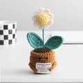 Handmade crochet white daisy plant in brown pot with emotional support message card - Daisy