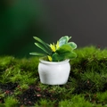 Miniature dollhouse plant with green heart-shaped leaves in a white ceramic pot - Heart Leaf Style (1号)