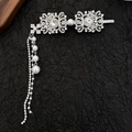 Fermaglio per capelli a fiore argento con strass, perle e un lungo ciondolo nappa - Forcina / Argento