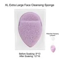 Extra large orange teardrop cleansing sponge showing size increase after soaking in water - XL Extra Large Teardrop / Purple