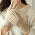 Guanti scamosciati beige da donna con fodera in pile antivento e polsini a scacchi - Taglia unica / Beige