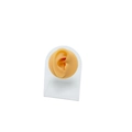 Silicone human ear model on acrylic stand for professional body piercing practice - Flesh Tone (Right Ear) With Stand