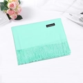 Solid mint green cashmere-like scarf with fringe tassels on a minimalist table - Mint Green