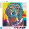 5D DIY diamond painting kit featuring a colorful dog portrait model LY5019 40x40cm - LY5019 Abstract Dog