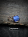 Detailed close-up of September birthstone ring with raw blue gem on tree bark - September - Kyanite