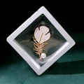 Elegant gold feather brooch with white pearl inlay in a square display case - XZ192-Feather Shell-Boxed