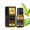 Inkeey 10ml tea tree essential oil in brown glass bottle with premium gift box - Tea Tree
