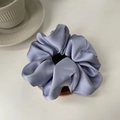 Bleu Violet Clair