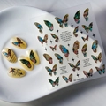 Stickers ongles papillon 5D FEB-441 avec texture holographique pour décorations nail art - Papillon Métallique Holographique Aurora (FEB-441)